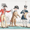 Napoleon v bede