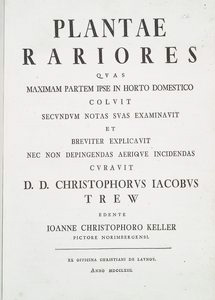 Plantae rariores : quas maximam partem ipse in horto domestico colvit secundum notas suas examinavit et breviter explicavit necnon depingendas aerique incidendas curavit