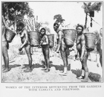 Women of the interior returning from the gardens with cassava and firewood