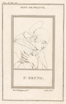 St. Bruno.