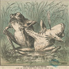The Siamese Bull-frogs. One is dead, and the other must die