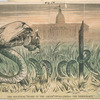 The Political 'Snake in the Grass' swallowing the Democracy