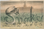 The Political 'Snake in the Grass' swallowing the Democracy