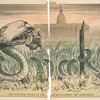 The Political 'Snake in the Grass' swallowing the Democracy