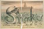 The Political 'Snake in the Grass' swallowing the Democracy