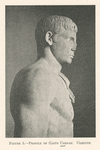 Figure 5. Profile of Gaius Caesar: Corinth. (Imperial portraits at Corinth, pg. 352).