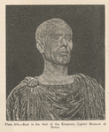 Plate XIV - Bust in the Hall of the Emperors, Capitol Museum at Rome. (The Likenesses of Julius Cæsar - from Scribner's Magazine, Vol. I, no. 2, pg. 141, February. 1887).