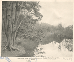 The River, from Mr. Cable's Woodland at 'Tarryawhile'.