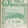 Oh! What a beautiful ocean