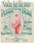 You're not the only pebble on the beach