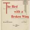 The bird with a broken wing