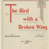 The bird with a broken wing