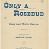 Only a rosebud