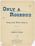 Only a rosebud