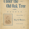 Under the old oak tree