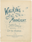 Walking in the moonlight