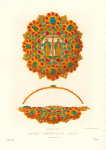 Barmy grecheskago dela. (izobrazhenie 4). Ris. Akad. F. Solntsev. Khromolitografiia F. Dregera.