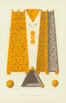 Stoianets k tsarskomu tronu. Ris. Akad. F. Solntsev. Khromolitografiia F. Dregera.