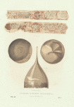 Shishak K. Ioanna Ioannovicha, syna Ioanna IV. Khromolitografiia F. Dregera.