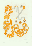 Konskaia serebrianaia cyp'. Ris. Akad. F. Solntsev. Khromolitografiia F. Dregera.