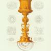 Serebrianyi pozolochennyi kubok kazny tsaria Feodora Ioannovicha 1596 goda. Khromolitografiia F. Dregera.