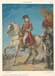 Malmaison: Bonaparte Premier Consul (tapisserie des Gobelins)