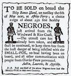 To be sold, on board the ship Bance Island, ... negroes, just arrived from the Windward & Rice Coast