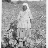 Agricultural peasant of the black belt.