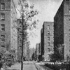 The Dunbar apartments in Harlem, New York City, where 511 Negro families have escaped from the ugliness which ordinarily surrounds Negro life
