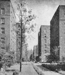 The Dunbar apartments in Harlem, New York City, where 511 Negro families have escaped from the ugliness which ordinarily surrounds Negro life