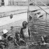 At the Y.M.C.A. swimming pool