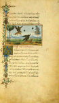 The eagle and the fox [end]; The eagle and the beetle.