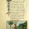 The fortune-teller [cont.]; The ant and the dove.