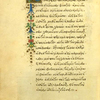 The bat, the thorn, and the gull [cont.].