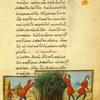 The donkey and the gardener [cont.]; The bird catcher and the crested lark.