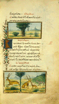 The wild boar and the fox [cont.]; The crested lark; The fawn and the deer.
