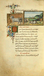 The hares and the frogs [end]; The donkey who envied the horse's life.