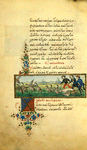 The miser [cont.]; The greese and the cranes.