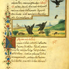 The greese and the cranes [cont.]; The tortoise and the eagle.