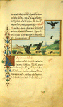 The greese and the cranes [cont.]; The tortoise and the eagle.