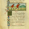 The tortoise and the eagle [cont.]; The flea and the man.