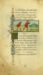 The tortoise and the eagle [cont.]; The flea and the man.