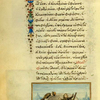 The donkey, the rooster, and the lion [cont.]; The gardener and the dog.