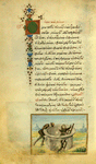 The donkey, the rooster, and the lion [cont.]; The gardener and the dog.