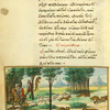 The snake and the crab [cont.]; The shepherd and the wolf.