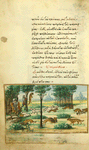 The snake and the crab [cont.]; The shepherd and the wolf.