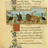 The donkey in the lion's skin [cont.]; The sparrow.
