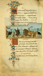 The donkey in the lion's skin [cont.]; The sparrow.