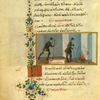 The nightingale and the bat [cont.]; The snails.