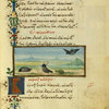 The rook and the dog [cont.]; The crow and the snake.